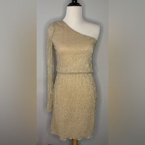Bison Bisou golden metallic Grecian style evening dress